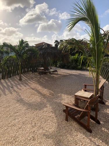 Kas Cocoloco Waterfront paradise with privat garden in 博内尔岛