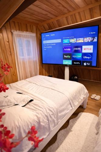 1 B1B lake cabin/walk to lake/Boulder bay park in Big Bear Lake, USA