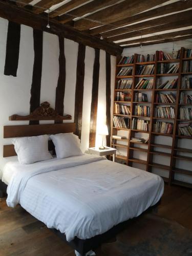 Atypique 1BR Central - Paris VI