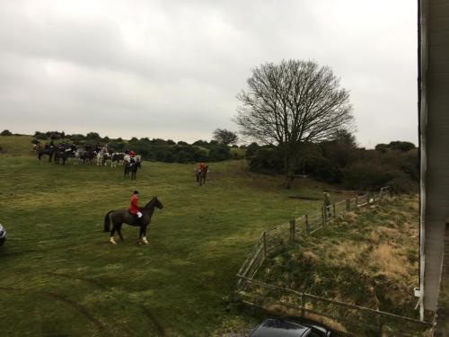 The Curragh Country House Accommodation