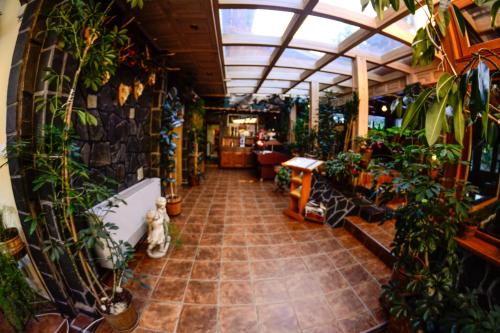 Restaurant, Pension Restaurant Speranta in Predeal