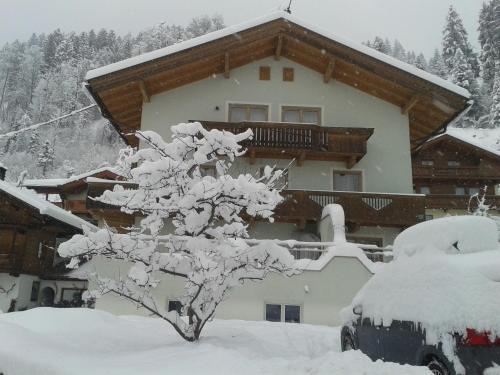 Ferienwohnung Rauch, Pension in Schwendau