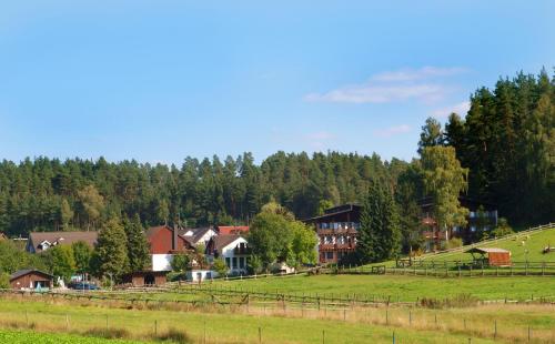 . Waldhotel Bächlein
