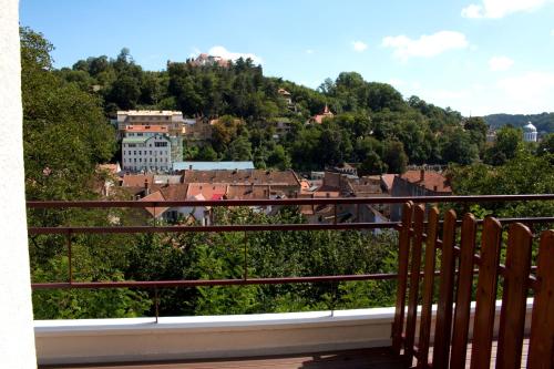 Vila Alba Brasov - image 10