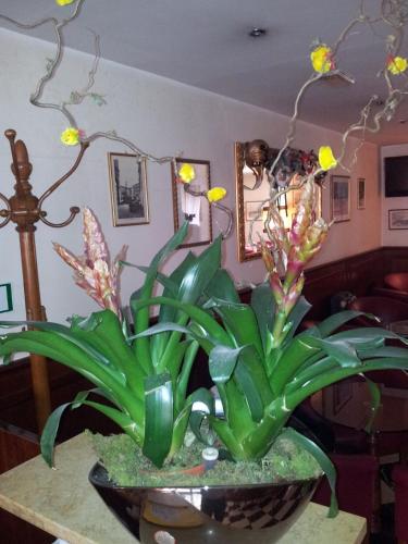 Hotel Regit - image 3