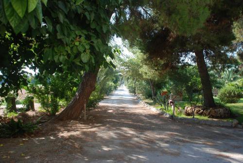 Terrauzza Sul Mare - image 7
