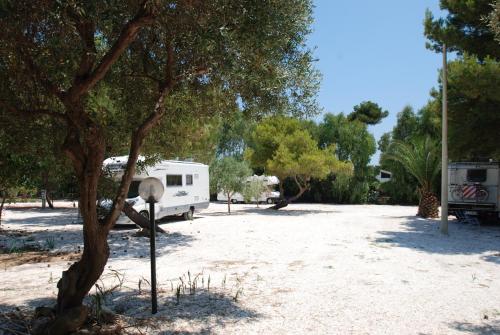 Terrauzza Sul Mare - image 4