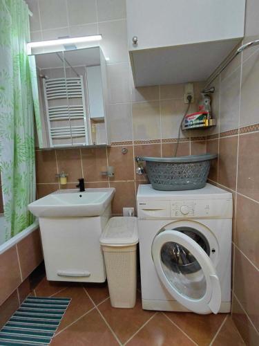 Apartment Arena Studio - image 18