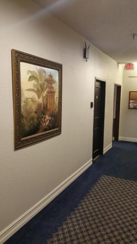 Hyde Park Hotel - 숙소 외관
