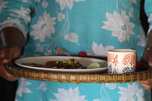 Tharu Community Homestay No 1 in Meghauli