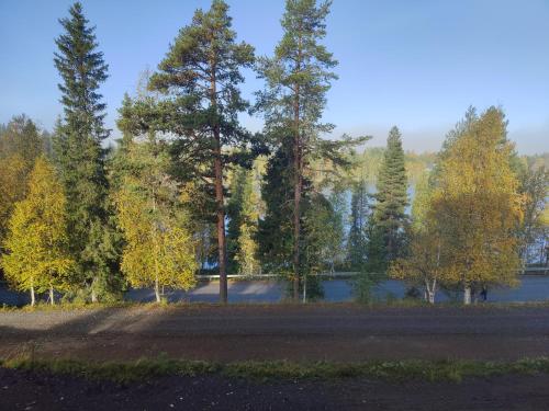 Rukan Taiga in Rukajärvi