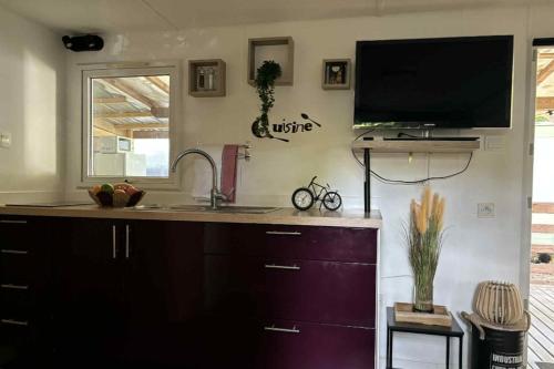 Mobil-home Le ch'ti gard - Camping - Saint-Ambroix