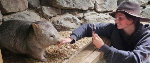 Fauna Australia Wildlife Experience in Great Ocean Road ceļš - Laverhila
