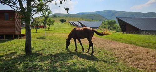 Mvembili Eco Lodge in ยอดเขาพิกก์ส์