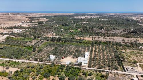 Zina Resort Guesthouse & Camping