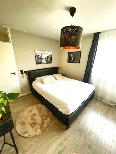 Spacious and Cozy House with Affordable Parking, Ámsterdam (foto 8)