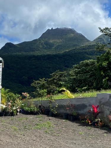 Skats, Appartement l'Ecrin 2 in Basse Terre