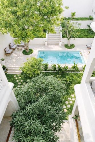 Luxury pool villa Mango House in 拉穆岛