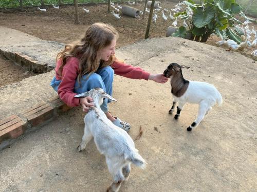 Phong Nha Mini Farm - Nguyen Shack, Phong Nha