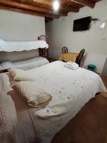 Hospedaje Andacollo in Usno