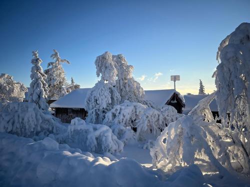 Hogt upp pa fjallet! in Storhagna