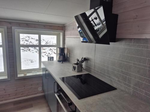 Molden Sky - takterrasse med egen jacuzzi! in Hafslo