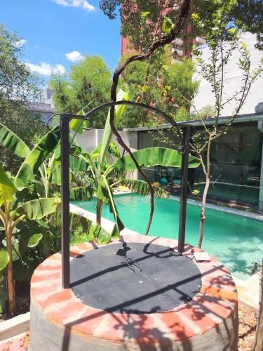 Casa el Jardin