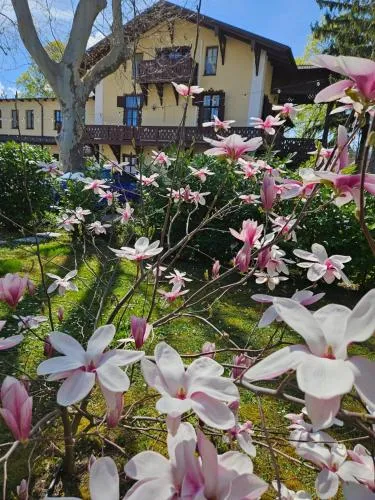 Villa Musik - historical apartments, Baden in Baden, Österreich