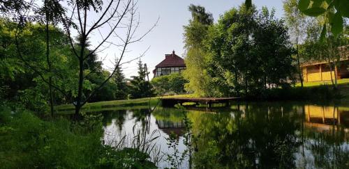 Krokusowa Przystań (Krokusowa Przystan) in Rzeczka