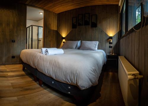 Roble Viejo Lodge in Termas De Chillan