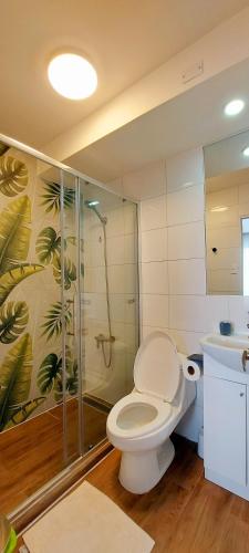 浴室, Hermoso Apartamento a pasos de playa Cavancha in 巴赫摩耶