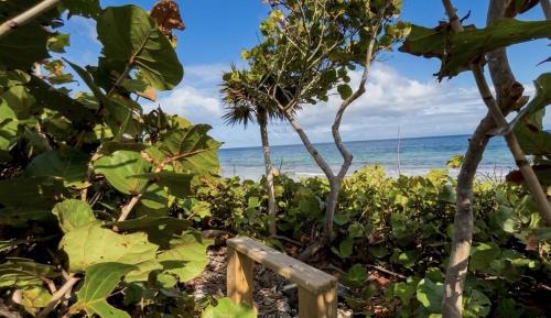 Quatro Vista A2 Oasis Modern 900sqft Oceanfront Suite & Bunks in 烏提拉