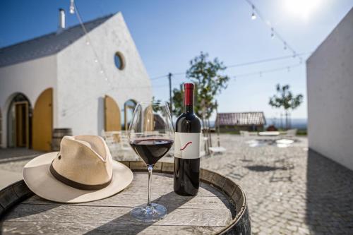 Vinárstvo S - apartmán pre 4 osoby (Vinarstvo S - apartman pre 4 osoby) in Kolta