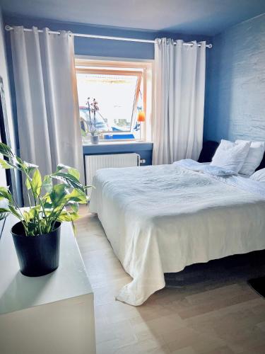 Ágy, Guesthouse Falkevej in Hillerød