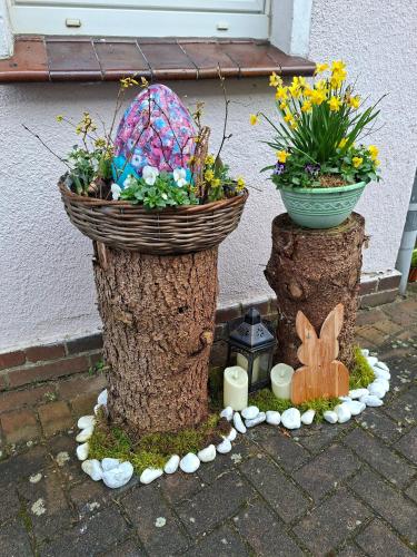 Ellens Farm in 闊克威茲