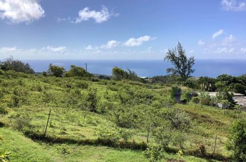 Studio Ti Lakaz lao in Roche Bon Dieu