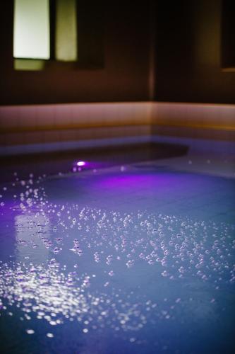 Badhotellet Spa & Konferens - image 12