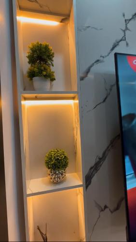 Luxury Homes - image 3