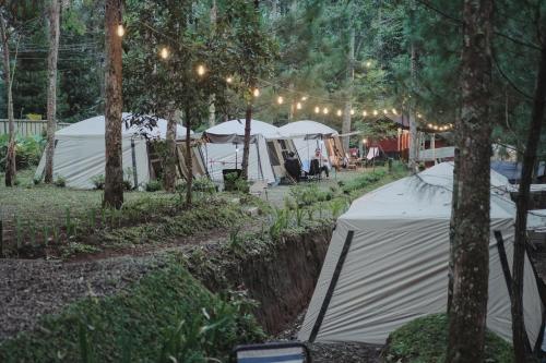 Pakis Camping Cikole - Bandung