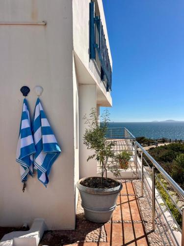 Endless blue ocean view escape in Paradise Beach