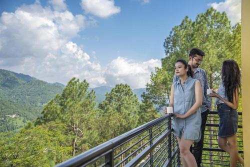 Kasauli  Greens - Homestay in Dharampur