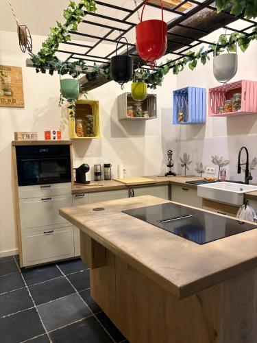 Maison Nature 8 pers dog friendly calme total in Trooz