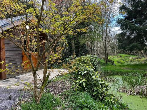 Little Cabin in the Woods in 基爾布列顛