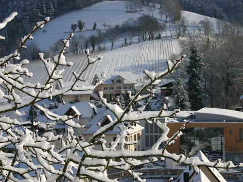 Weingut-Brennerei-Ferienwohnungen Eugen Wissler in Au