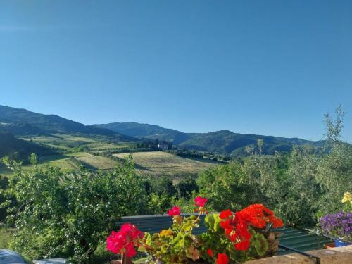 nel Chianti vicino Firenze in Руфіна