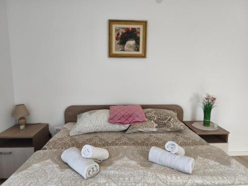 Studio Dimitrije 14 - Location saisonnière - Sokobanja