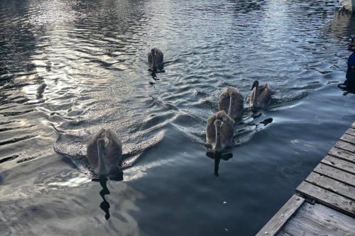 Apkārtne, Unique 2 Bed Waterside Retreat Pet Friendly in Upton upon Severn