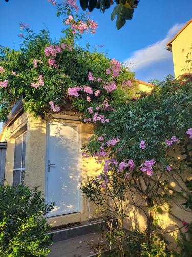 Studio_en_Roussillon - Location saisonnière - Thuir