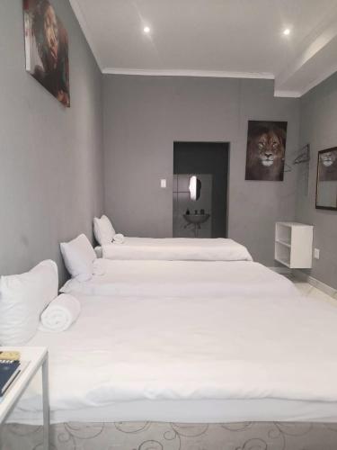 Red Hills Guesthouse in Tsumeb