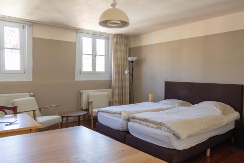 tam tam city lodge, Antverpy (fotografie 7)